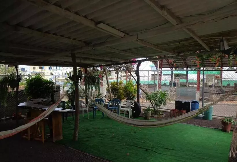 ペンション Hostal Nathaly