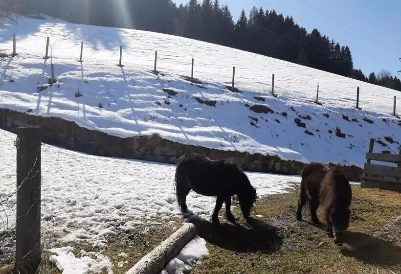 ホテル Apartments Teglbauernhof, Hütte, Chalet, Mobilheim, Appartement, Ferienwohnung, Pension, Urlaub