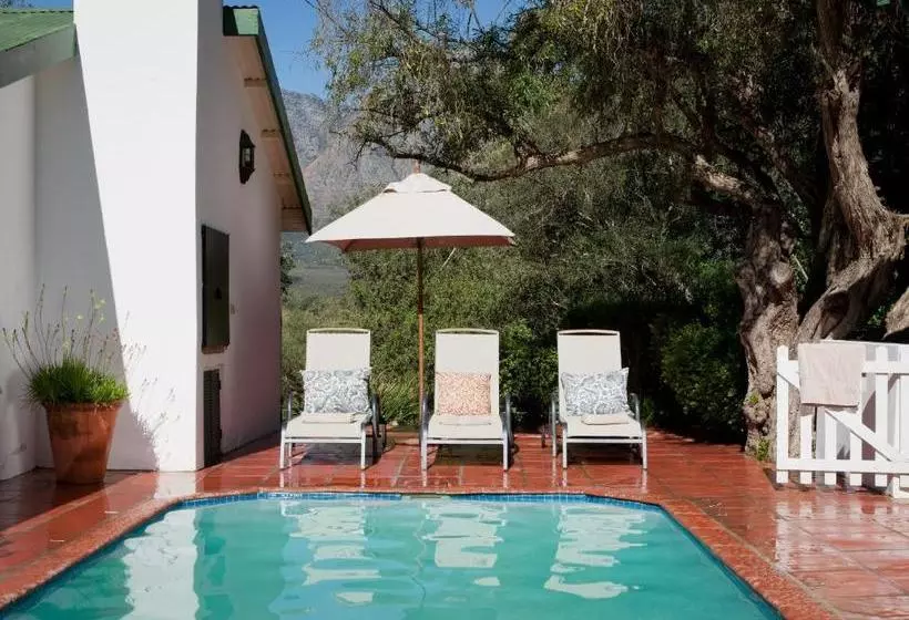 Hotelli Wild Olive House