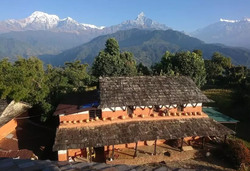 Mystique Highland Resort