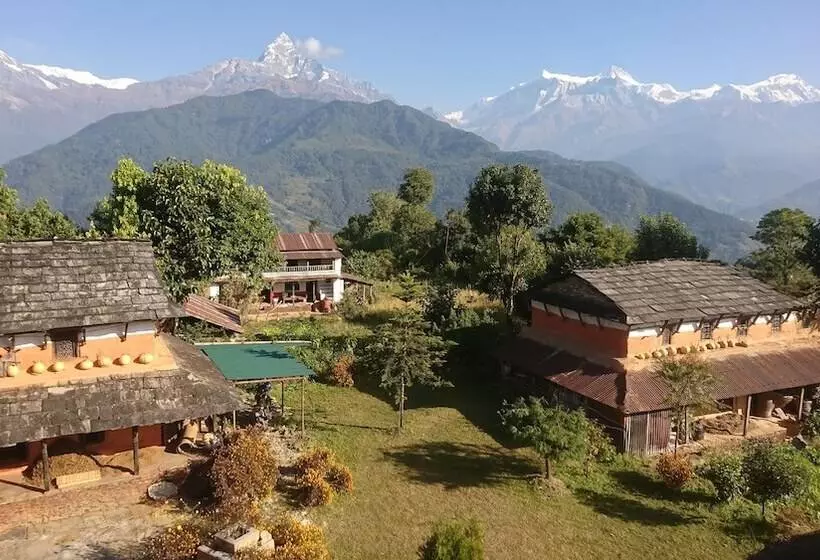 Mystique Highland Resort