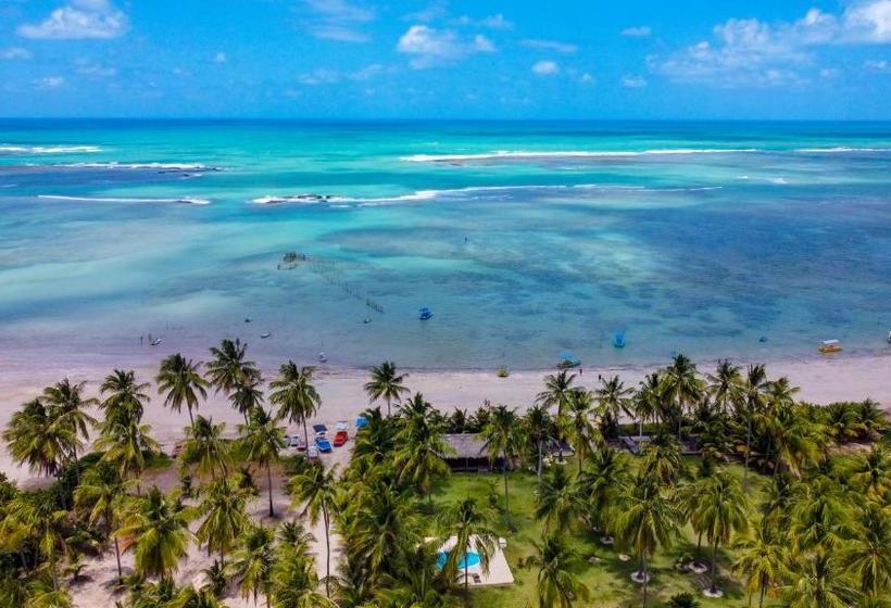 פנסיון Pousada E Restaurante Encanto Das águas