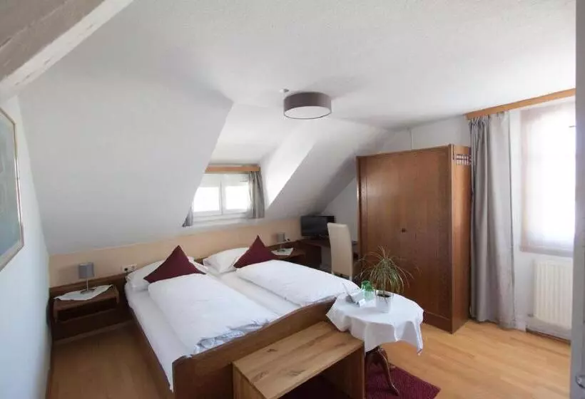 پانسیون Wellenhof Bodensee