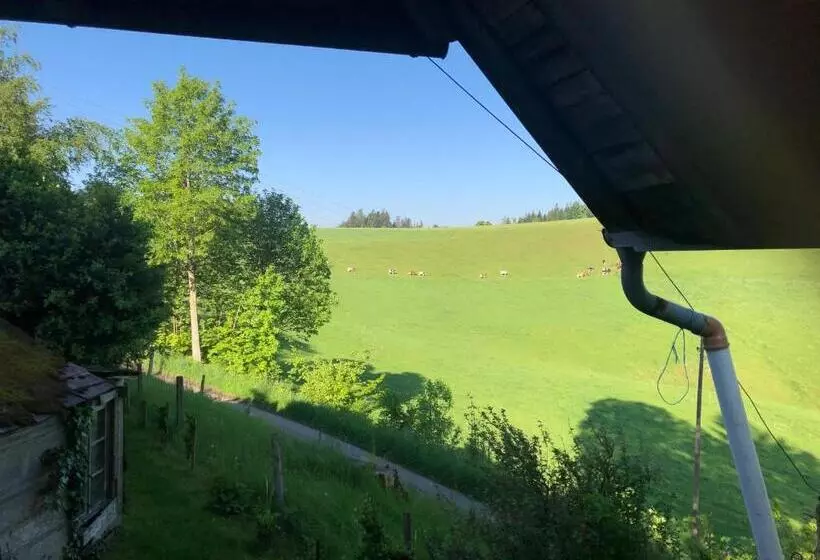 هتل Bühl 3