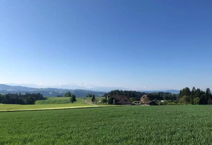 هتل Bühl 3