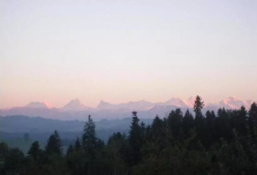 هتل Bühl 3