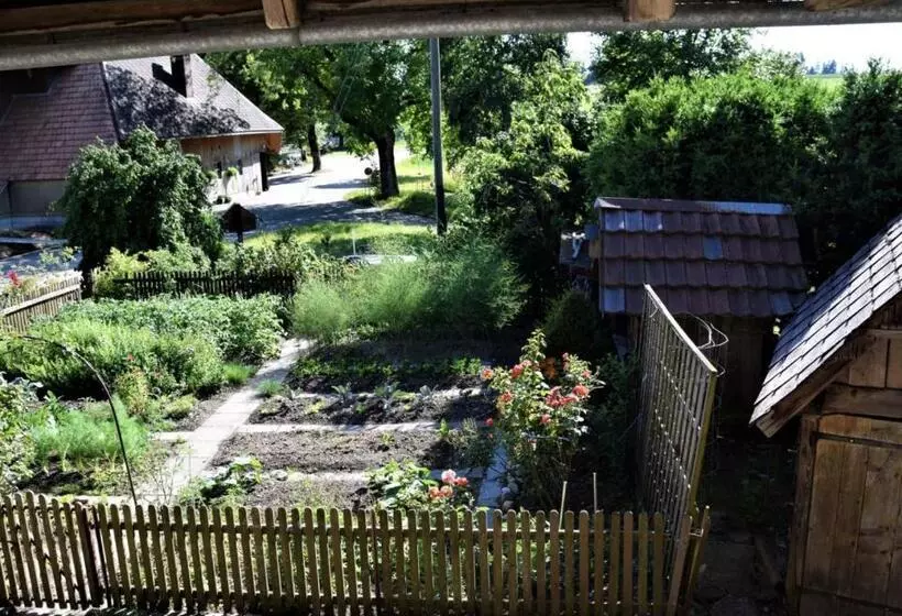 هتل Bühl 3