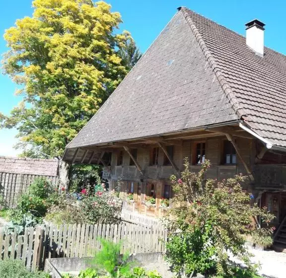 هتل Bühl 3