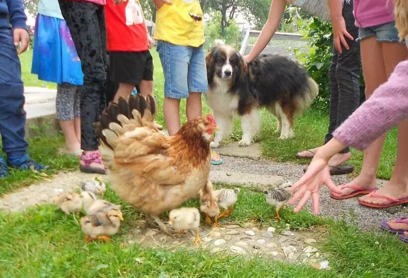 ペンション Apartment At Sedliacky Dvor   Brezno