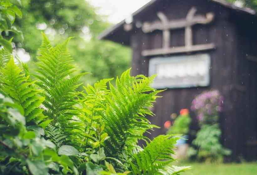 بنسيون Apartment At Sedliacky Dvor   Brezno