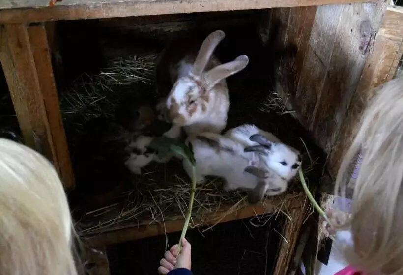 ペンション Apartment At Sedliacky Dvor   Brezno