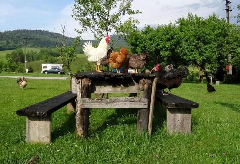ペンション Apartment At Sedliacky Dvor   Brezno