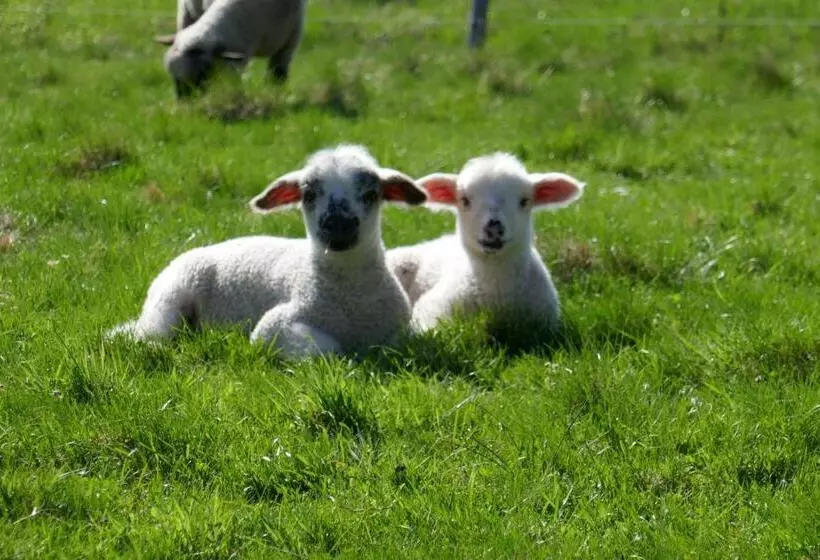 ペンション Apartment At Sedliacky Dvor   Brezno
