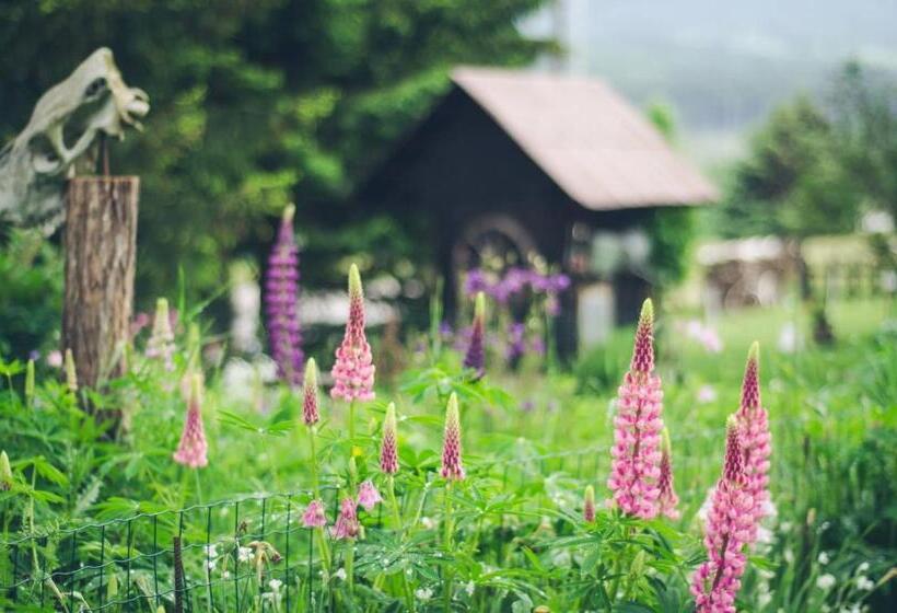 بنسيون Apartment At Sedliacky Dvor   Brezno