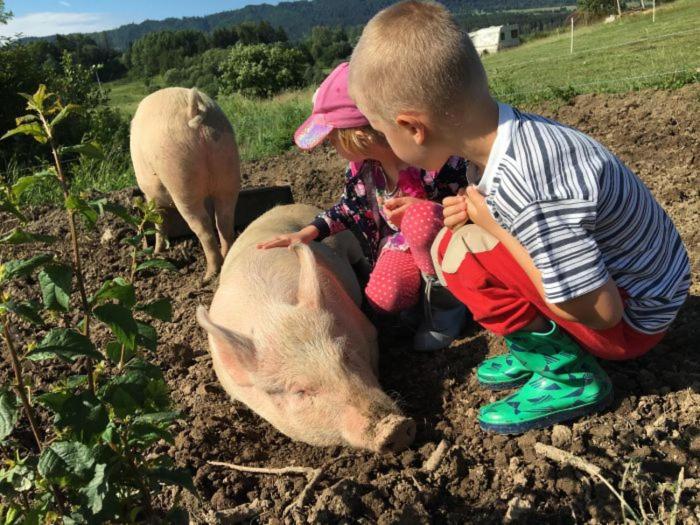 بنسيون Apartment At Sedliacky Dvor   Brezno