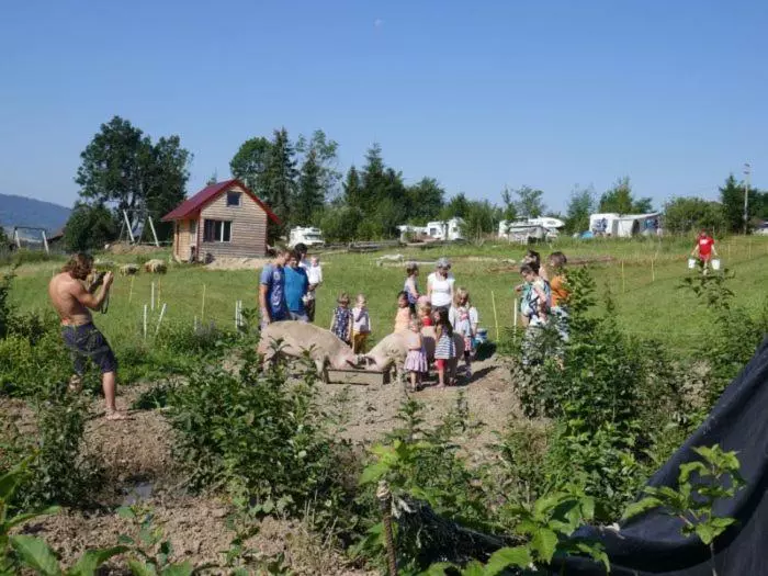 ペンション Apartment At Sedliacky Dvor   Brezno