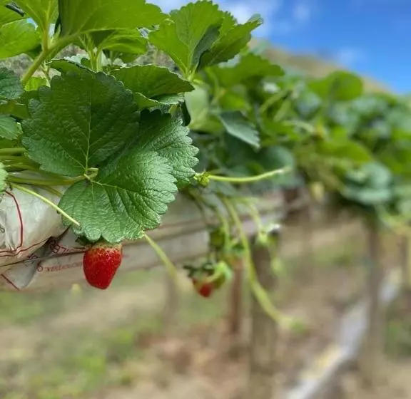 Majatalo Estação Serramar