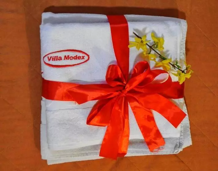 پانسیون Guesthouse Villa Modex