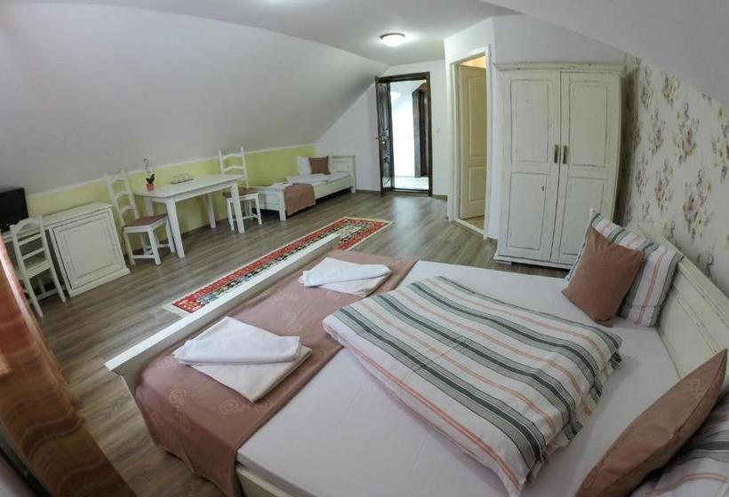 Пансион Hanul Vestem