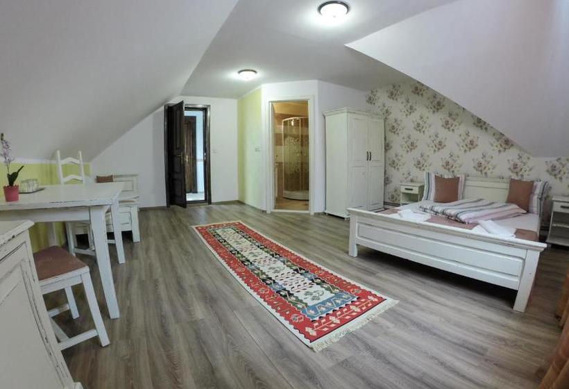 Пансион Hanul Vestem