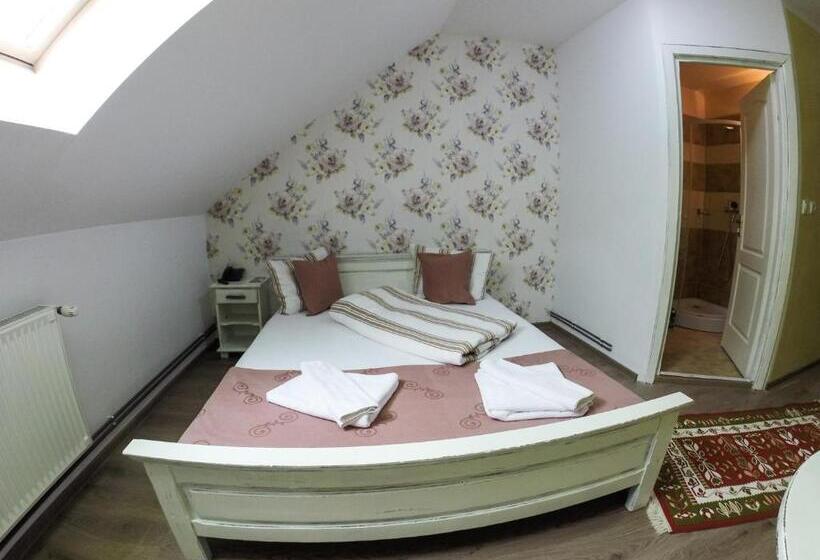 Пансион Hanul Vestem