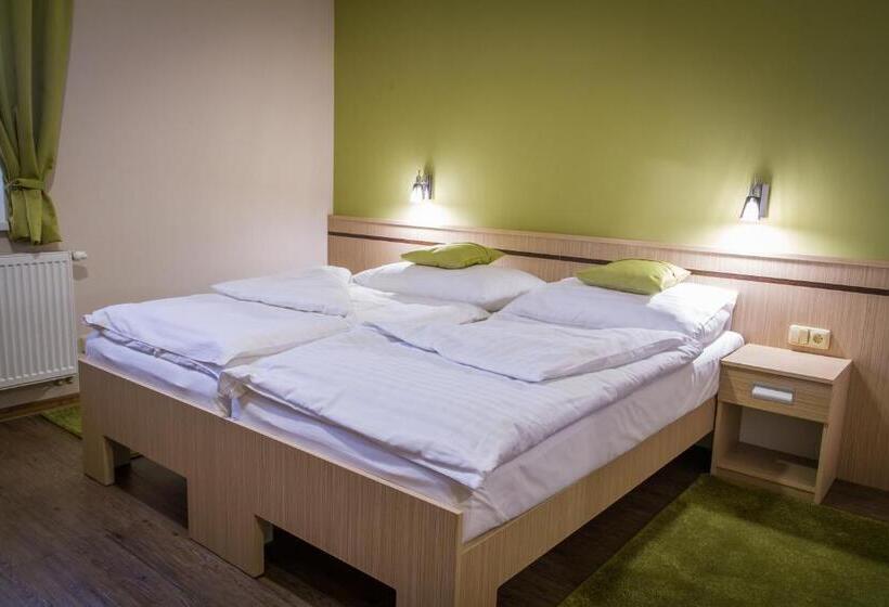 بنسيون Penzion Na Netřebě