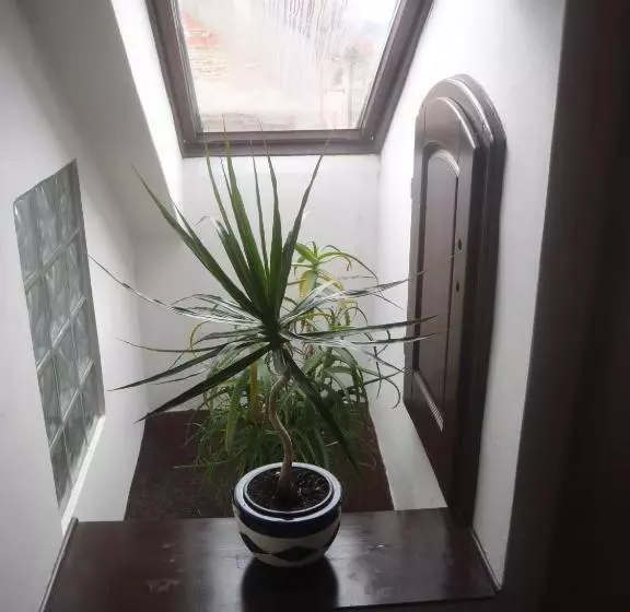 Majatalo Penzion Na Zborově