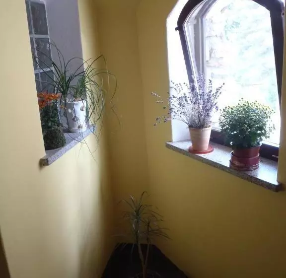 Majatalo Penzion Na Zborově