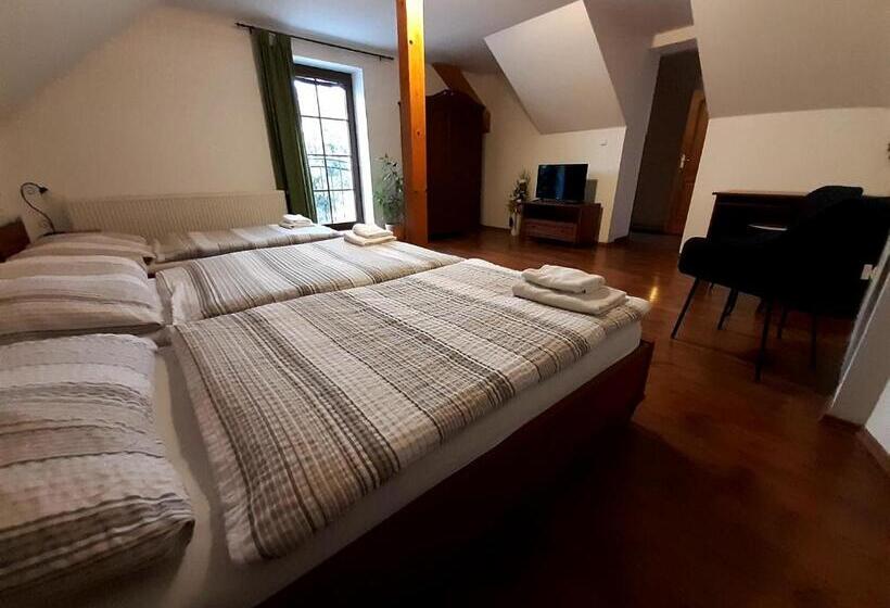 Pensjonat Penzion V Podzámčí Litomyšl