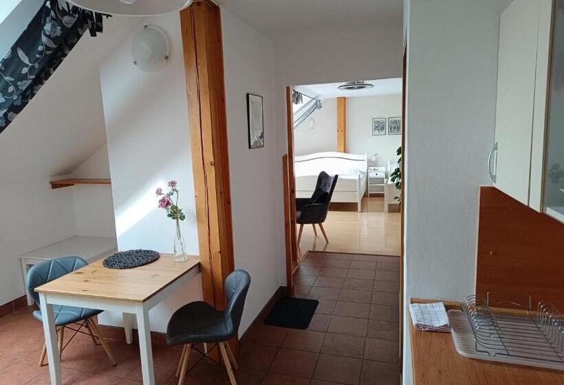 Pensjonat Penzion V Podzámčí Litomyšl