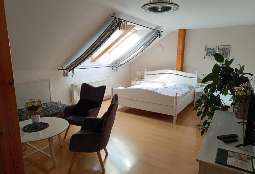 Pensjonat Penzion V Podzámčí Litomyšl