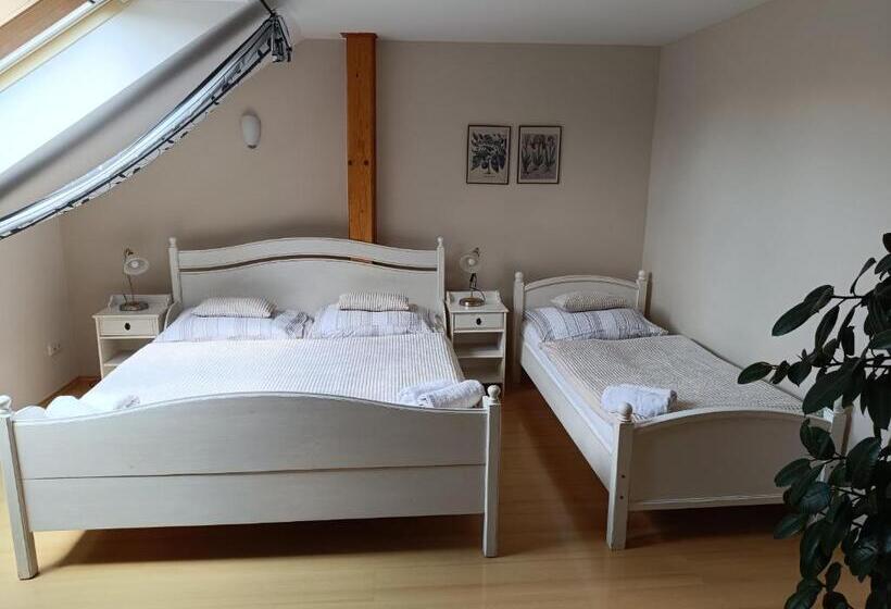 Pensjonat Penzion V Podzámčí Litomyšl