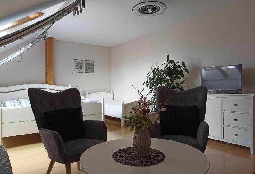 Pensjonat Penzion V Podzámčí Litomyšl