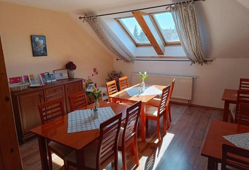 Pensjonat Penzion V Podzámčí Litomyšl