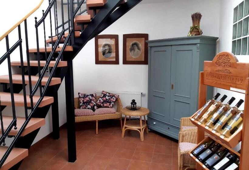 Pensjonat Penzion V Podzámčí Litomyšl