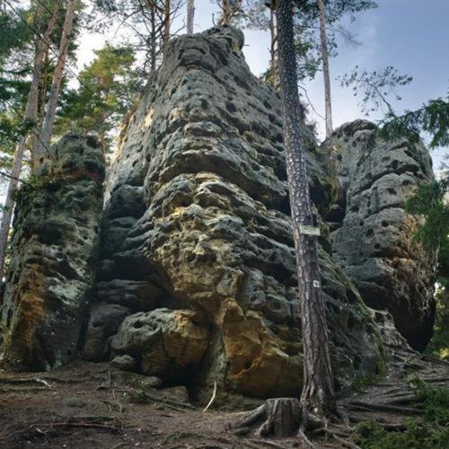 Pensjonat Penzion V Podzámčí Litomyšl