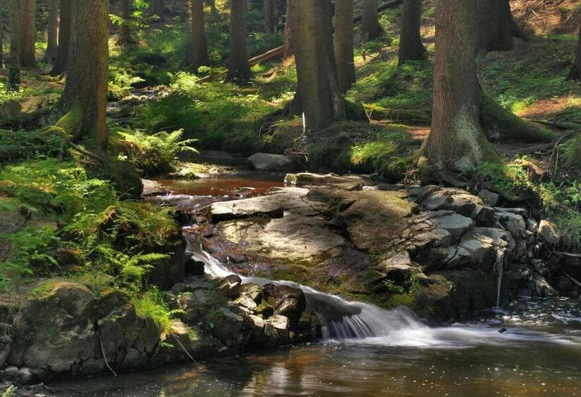 Pensjonat Penzion V Podzámčí Litomyšl