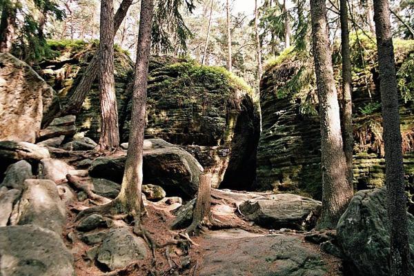Pensjonat Penzion V Podzámčí Litomyšl