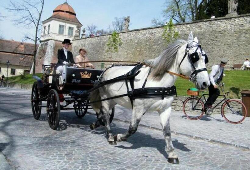 Pensjonat Penzion V Podzámčí Litomyšl