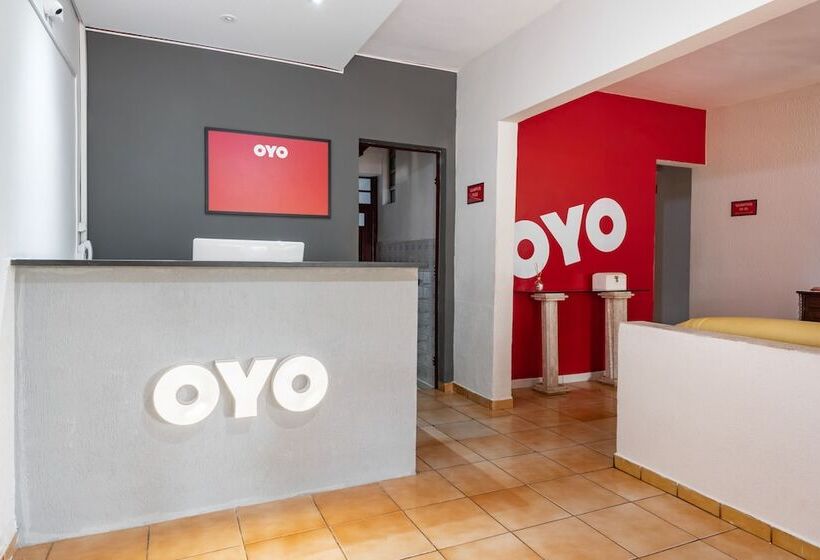 پانسیون Pousada Da Tia Leo