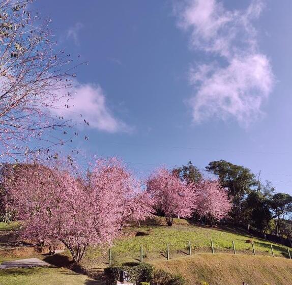 Pension Pousada Verdes Alpes