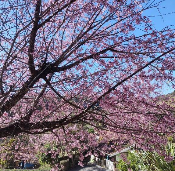 Pension Pousada Verdes Alpes