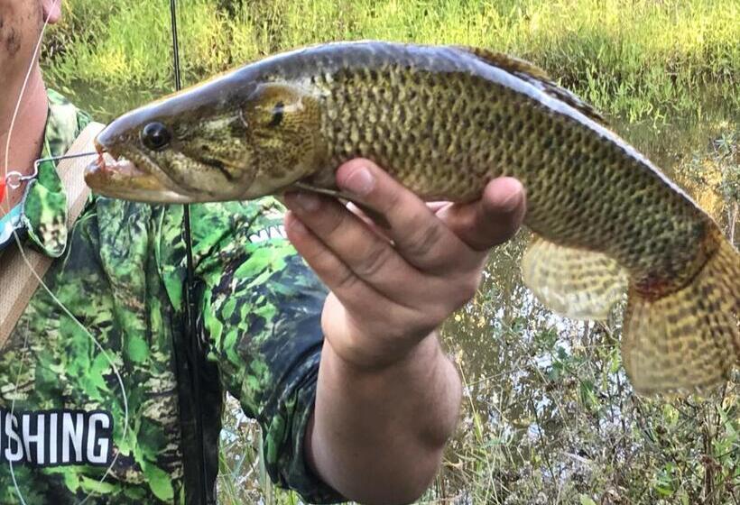 Chalés De Minas Hotel Fazenda