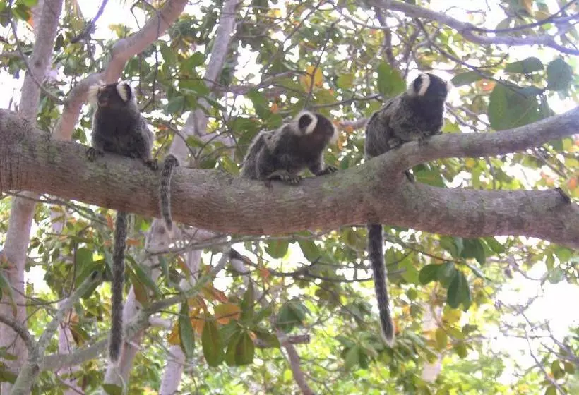 ペンション Ecolodge Batel Alagoas