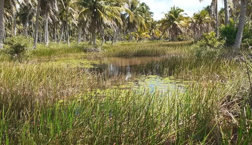 ペンション Ecolodge Batel Alagoas