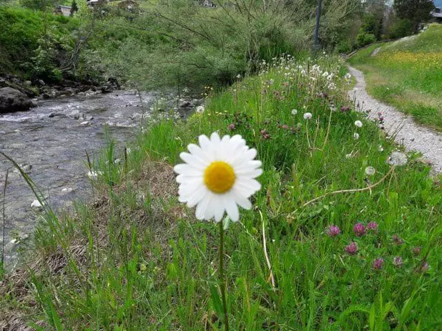 Majatalo Gästehaus Sahler