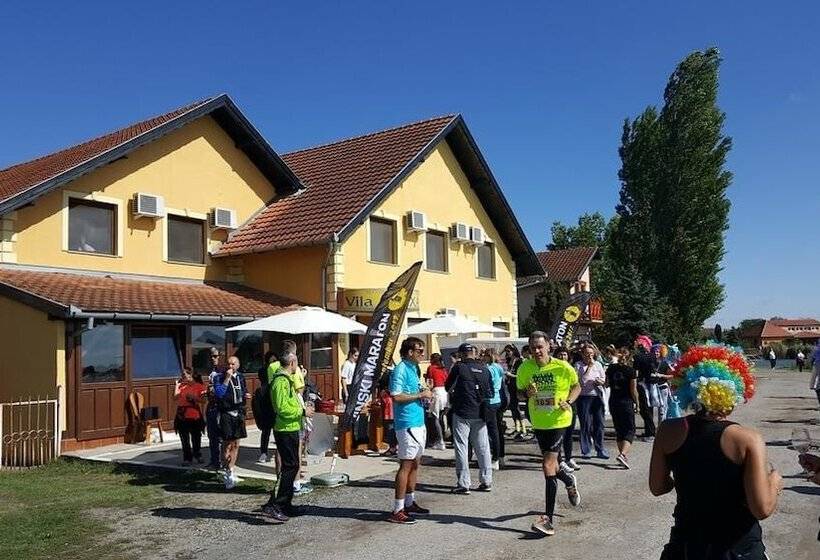 پانسیون Guest House Vila Alexandar