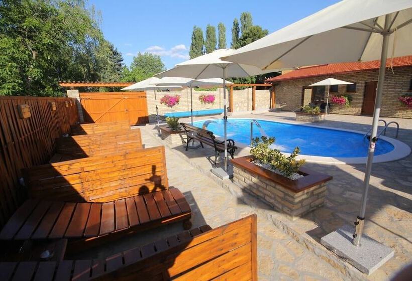 پانسیون Guest House Vila Alexandar