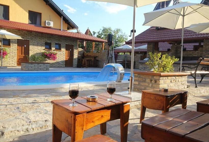 پانسیون Guest House Vila Alexandar