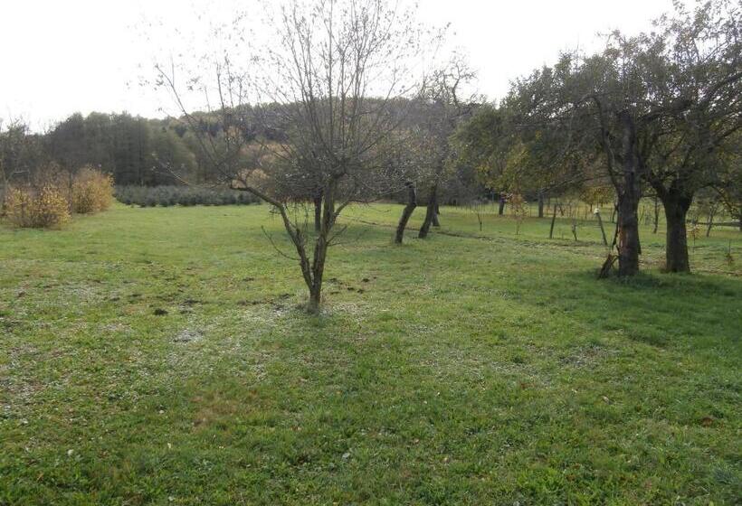 膳宿费 Nádkunyhó Vendégház